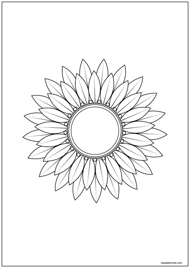 flores para colorir tumblr