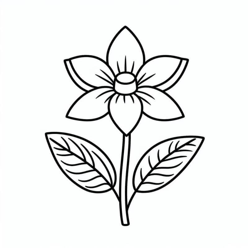 flores para colorir para adultos