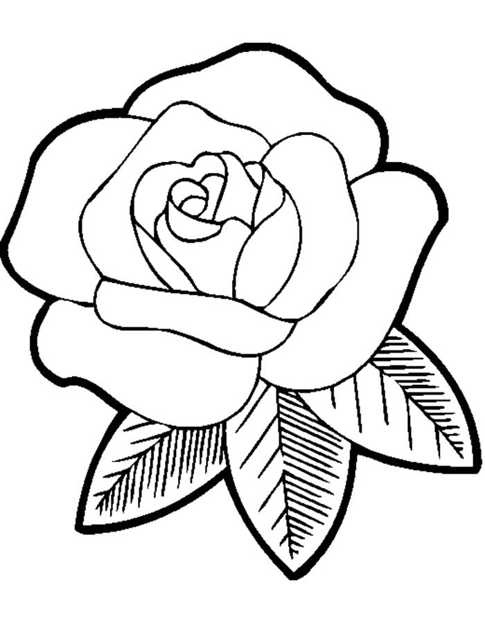 flores para colorir tumblr