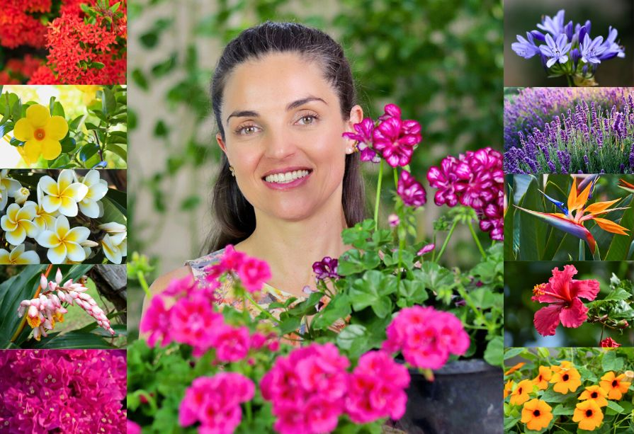 Dicas de rega para jardins com sol forte e ventania