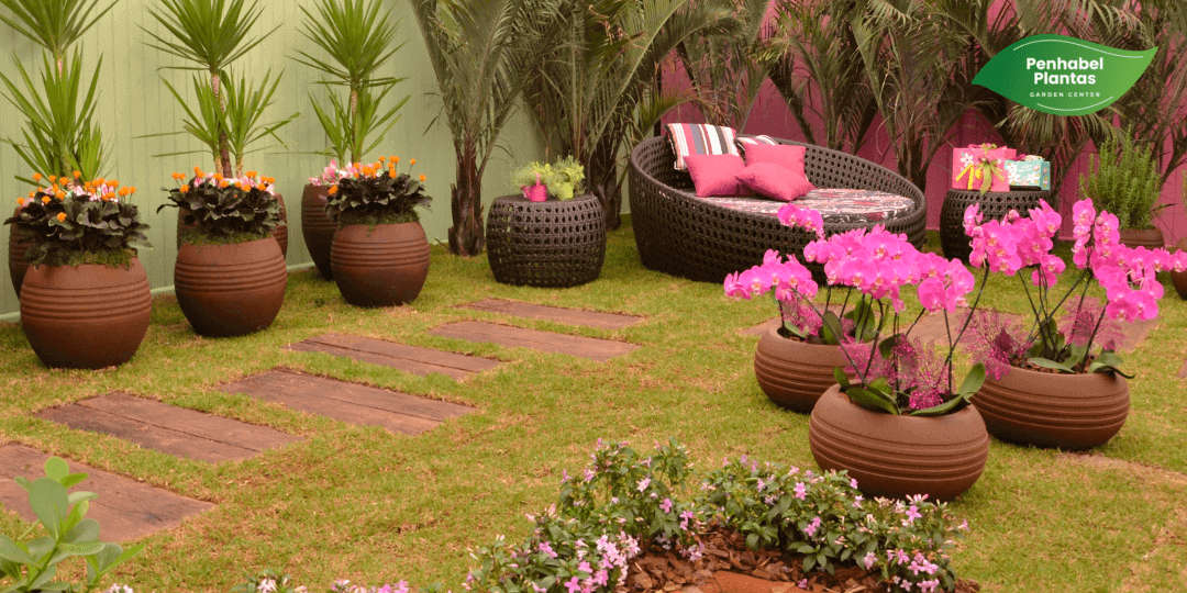 Guia completo para escolher flores de inverno em ambientes internos