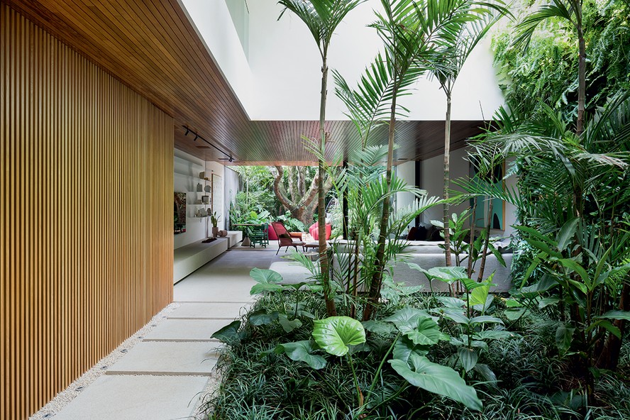 ideias de flores para jardim de inverno com pouca luz