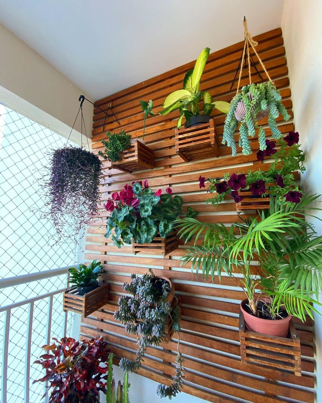 flores para jardim de inverno com muita umidade e pouca luz