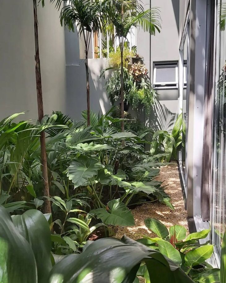 erros comuns ao cultivar flores em jardim úmido e escuro