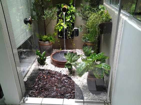 erros ao cuidar de flores de inverno pouca rega