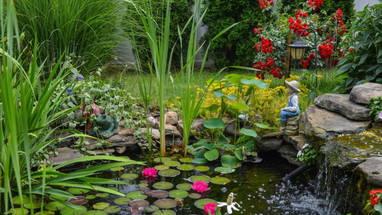 melhores flores para jardim de inverno pouca agua