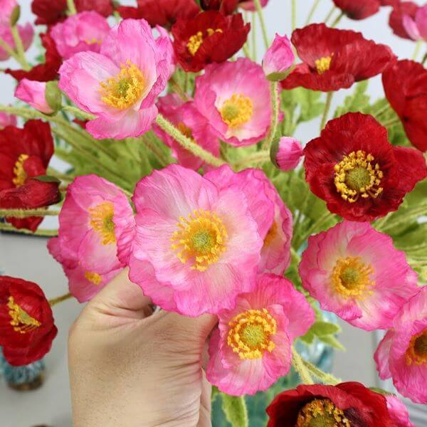 Guia Completo de Rega e Drenagem para Flores de Inverno