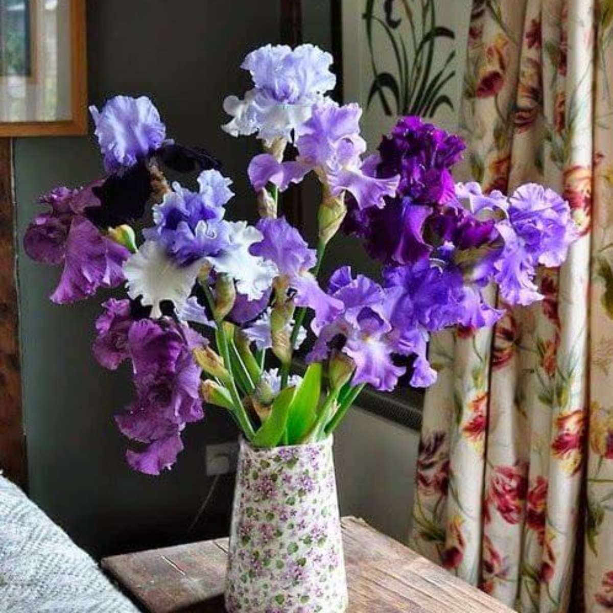 flores roxas para jardim