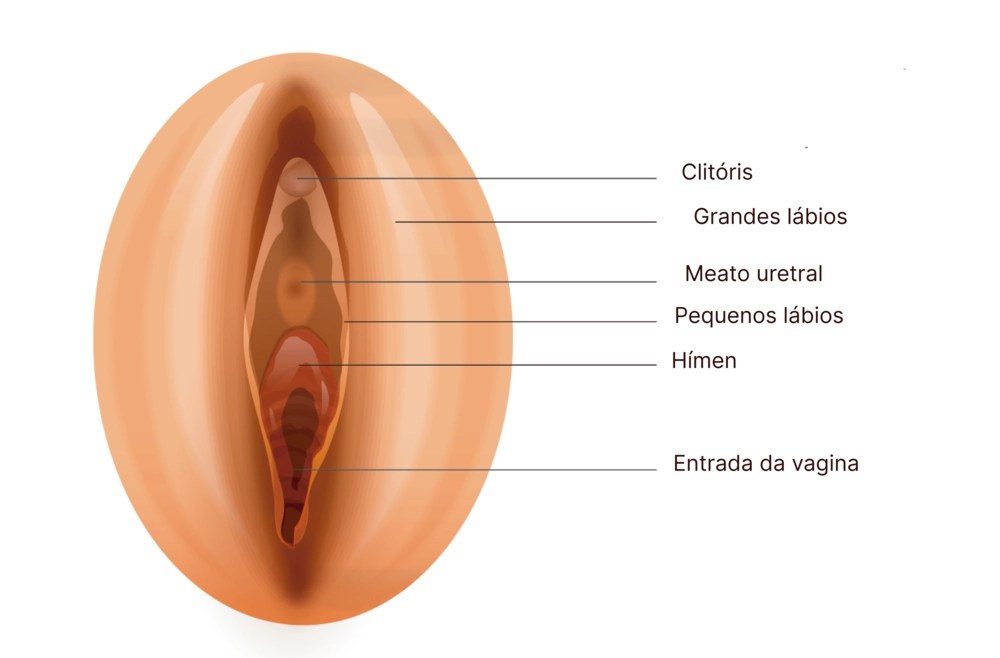Sinais de Alerta: Como Identificar Condições Comuns na Saúde Íntima Feminina