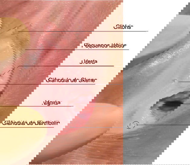 Sinais de Alerta: Como Identificar Condições Comuns na Saúde Íntima Feminina
