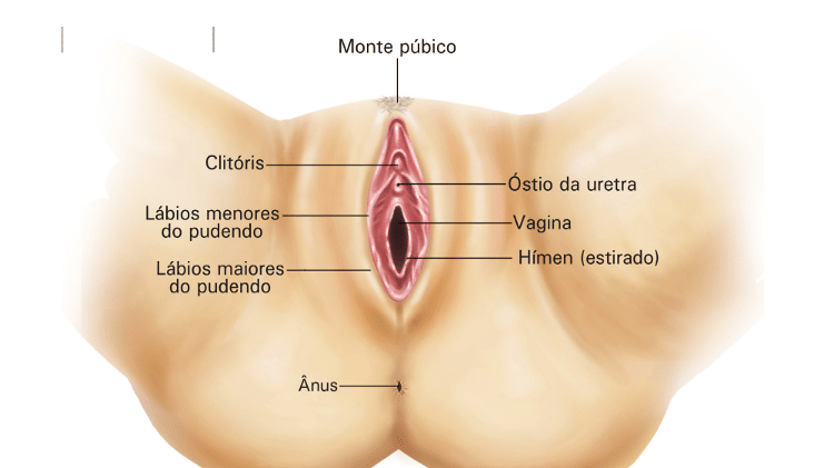 foto de vagina