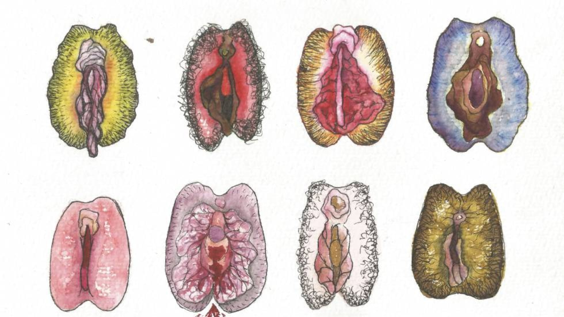 Guia Completo: Entendendo a Anatomia Genital Feminina com Imagens