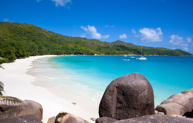 Coco de Mer: A História por Trás do Símbolo de Seychelles