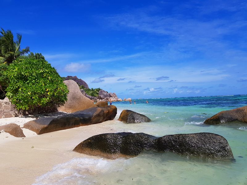 Mergulho em Seychelles: Os Melhores Spots para Fotos Subaquáticas