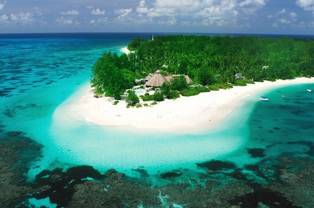 Coco de Mer: A História por Trás do Símbolo de Seychelles