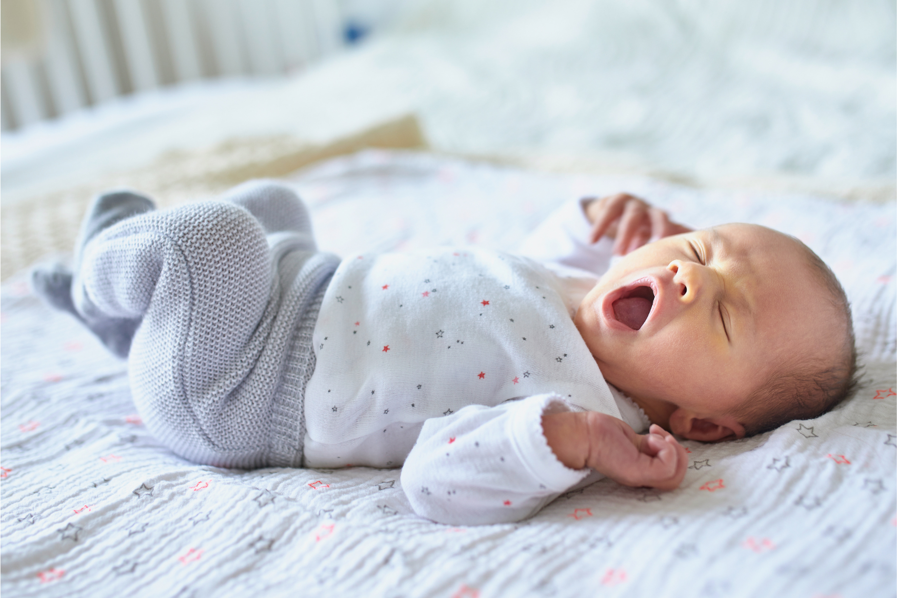 onde fazer ensaio newborn
