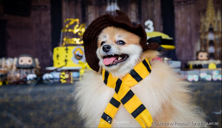 5 ideias de títulos