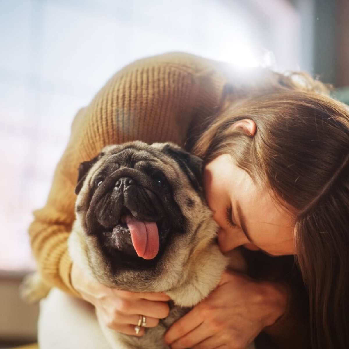 fotos de cachorros fofos