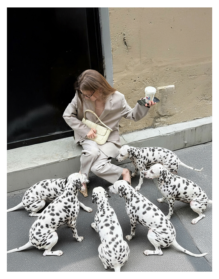 fotos de cachorros fofos