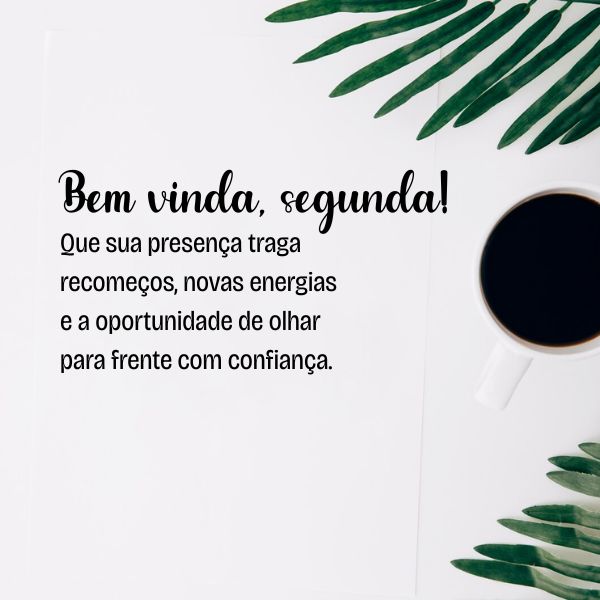 frases engraçadas segunda feira