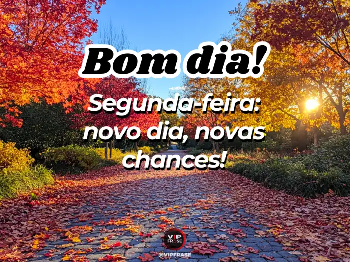 status de segunda feira
