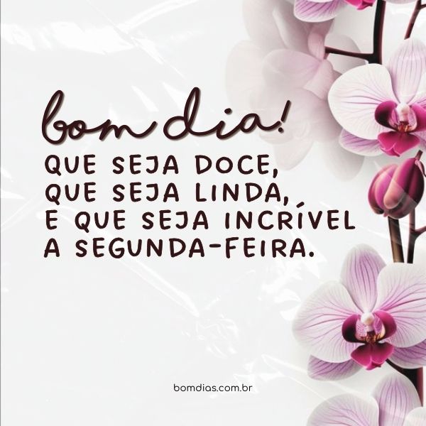 frases motivacionais para segunda