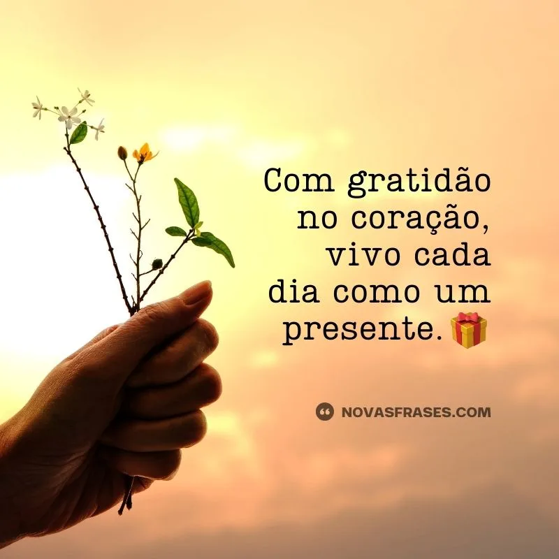 frase sozinha na foto