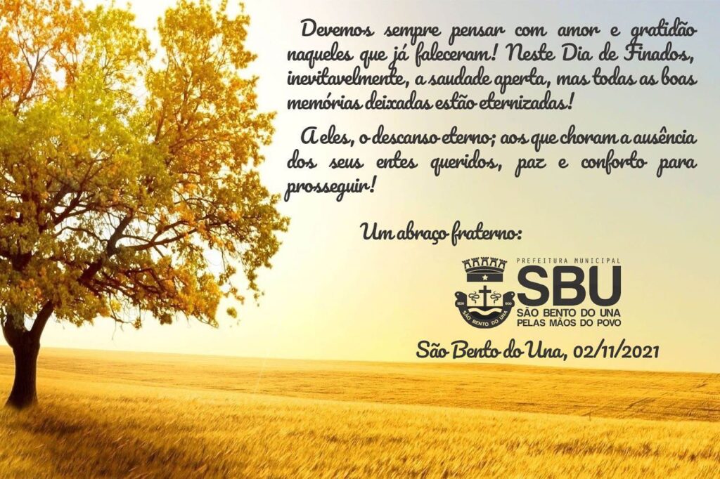 Como Lidar com o Luto no Dia de Finados