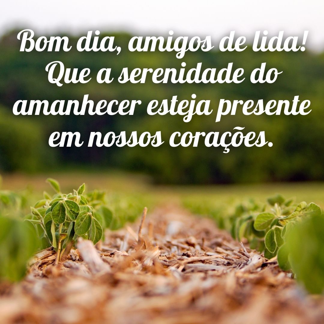 Significado e Tradições do Dia de Finados no Brasil