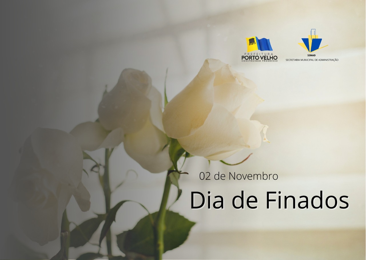 A Importância da Memória e do Legado Familiar