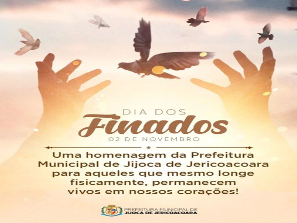frases 02 de novembro
