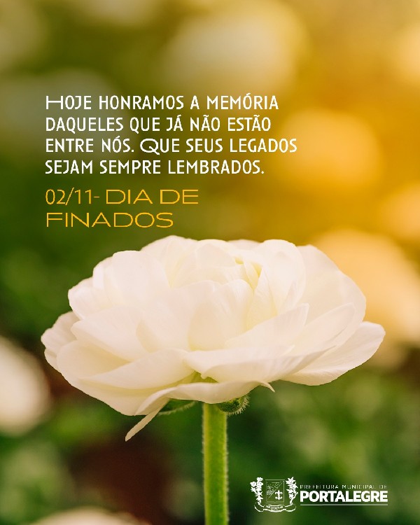 Ideias de Homenagens Criativas para Entes Queridos