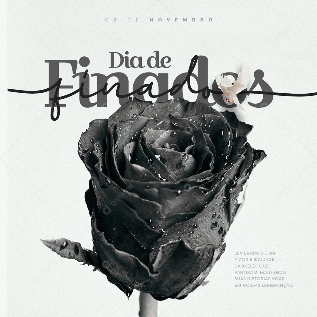 Frases de Finados para Compartilhar nas Redes Sociais
