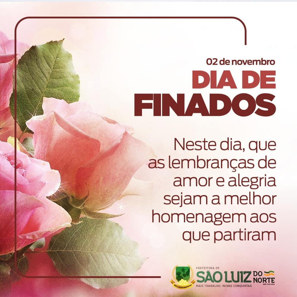 frases 02 de novembro