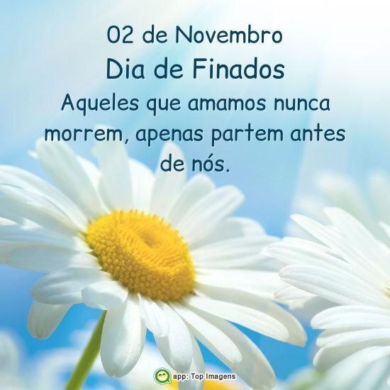 Significado e Tradições do Dia de Finados no Brasil