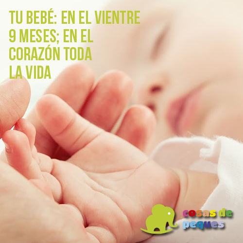 frases 9 meses