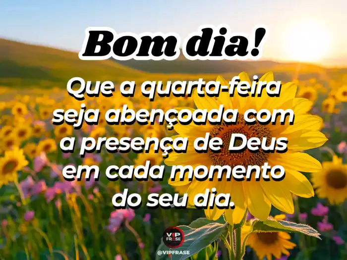 Frases De Bom Dia Quarta-Feira: Mensagens Para