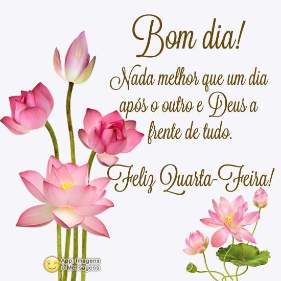 Frases De Bom Dia Quarta-Feira: Mensagens Para