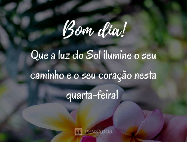 Frases De Bom Dia Quarta-Feira: Mensagens Para