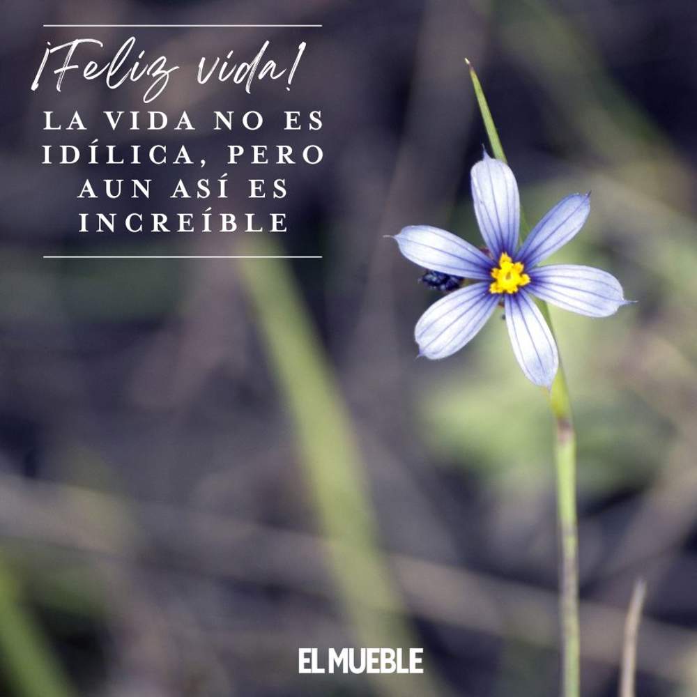 O Poder das Palavras para Transformar sua Atitude