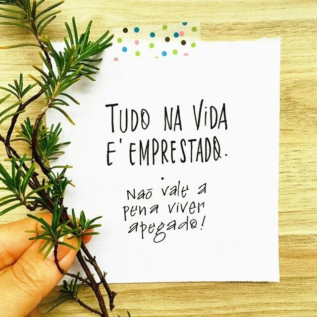 roupas de segunda mão frases
