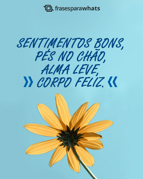 frases curtas e misteriosas para bio do whatsapp