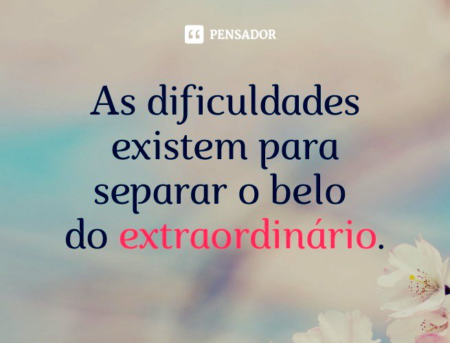 custo de uma bio impactante no whatsapp