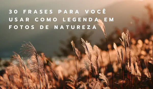 frases para legenda de fotos no instagram