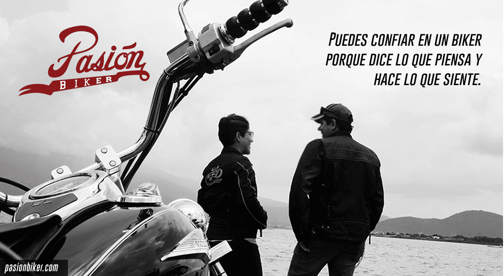 10 frases curtas para status de motorista