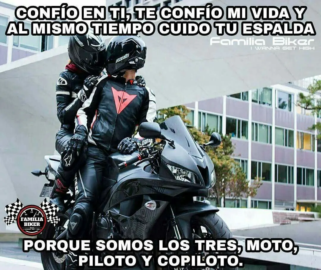 Frases de humor para alegrar a viagem