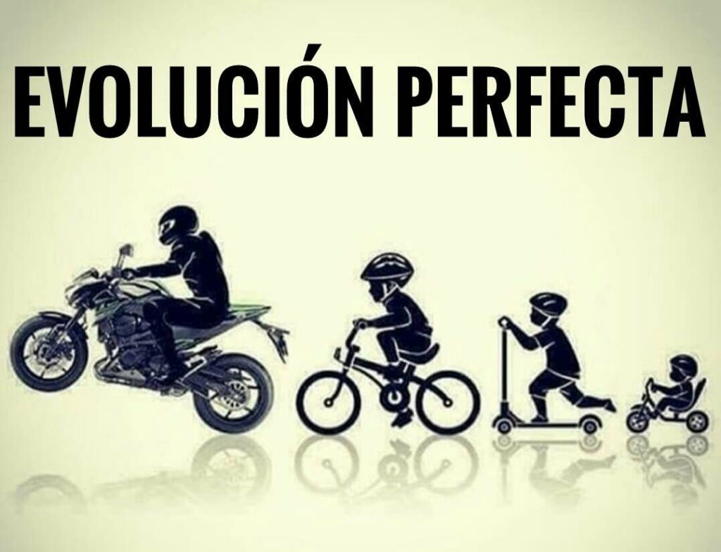 Frases de humor para alegrar a viagem