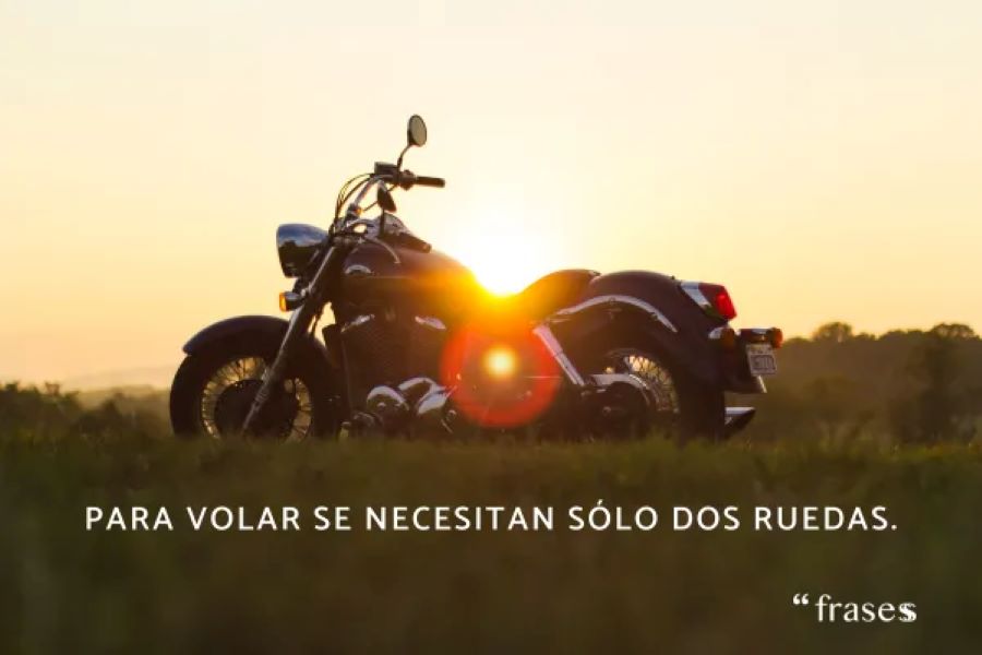 frases para motoristas