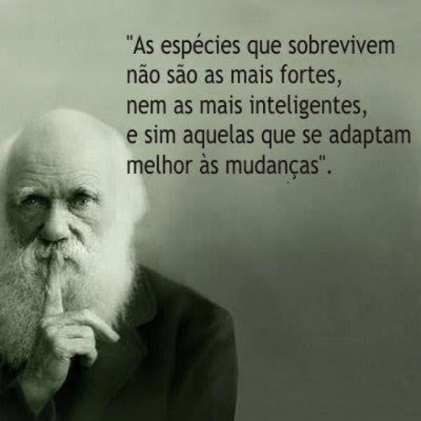 frases pessimistas