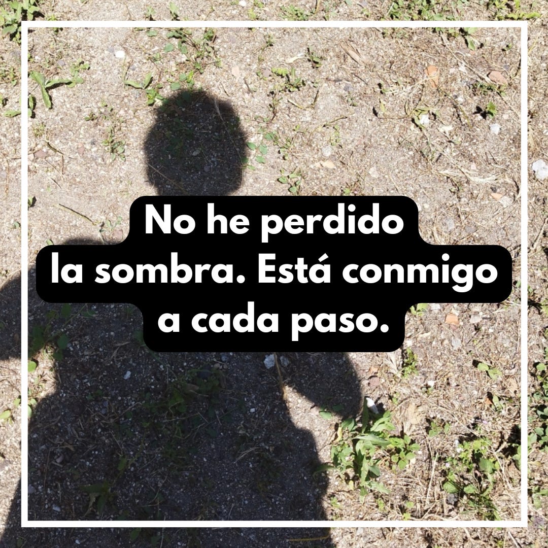 Planta e Raiz: Frases de Positividade para o Dia a Dia